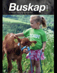 buskap