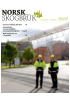 Arendalsuka: Tømmerstokkens innovasjonsmuligheter