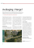 Avskoging i Norge?