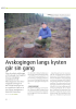 Avskogingen langs kysten går sin gang