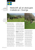 Beitedrift på et økologisk melkebruk i Sverige