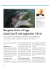 Bergene Holm vil lage biodrivstoff ved sagbruket i Åmli