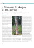- Biomasse fra skogen er CO2-nøytral