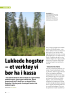 Bli kvalitetsrevisor