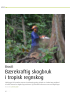 Bærekraftig skogbruk i tropisk regnskog