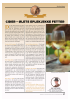 CIDER - ØLETS EPLEKJEKKE FETTER