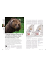 Conservation Research on Brown Bears Uses Biochemistry, Too
