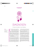 DIAGNOSEN