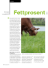 Fettprosent i melk hos kyr på beite