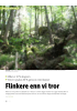 Flinkere enn vi tror