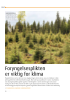 Foryngelsesplikten er viktig for klima