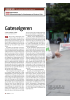 Gateselgeren