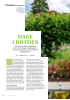 HAGE I HØYDEN