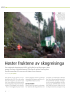 Høster fruktene av skogreisinga