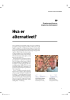 Hva er alternativet?