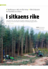 I sitkaens rike