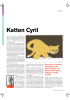 Katten Cyril