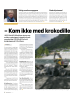 - Kom ikke med krokodilletårer neste gang