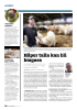 Komplisert gigant på Ås