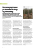 Koronasymptomer på trøndersk skogog trenæring