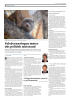 KrF krever strengere krav til dyrevelferden