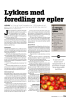 Lykkes med foredling av epler