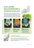 MATOPEDIA