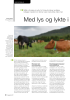Med lys og lykte i Trysil