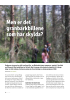 Men er det granbarkbillene som har skylda?