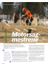 Motorsagmestrene