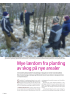 Mye lærdom fra planting av skog på nye arealer