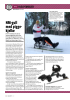 NM-gull med piggekjelke