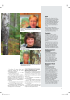 Norwegian Wood Cluster