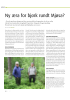 Ny æra for bjørk rundt Mjøsa?