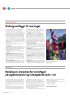 Ordkrig om flagg i 17. mai-toget