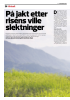 På jakt etter risens ville slektninger