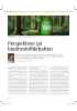 Perspektiver på biodrivstoffdebatten