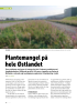 Plantemangel på hele Østlandet