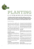 PLANTING er en viktig og lønnsom investering