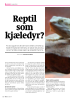 Reptil som kjæledyr?
