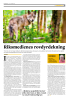 Riksmedienes rovdyrdekning