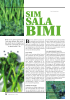 SIM SALA BIMI