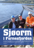 Sjøorm i Furnesfjorden
