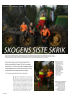 SKOGENS SISTE SKRIK