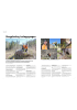 Skogplanting i soloppgangen