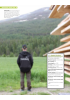 Skogvern kveler lokal treforedling i Nordland