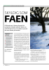 SKYLDIG SOM FAEN