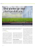 Små planter gir stor planteproduksjon