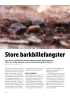 Store barkbillefangster