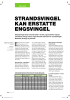 STRANDSVINGEL KAN ERSTATTE ENGSVINGEL